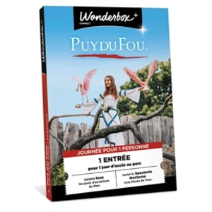 Coffret cadeau Connect Puy du Fou 1 Entrée 1 Personne
