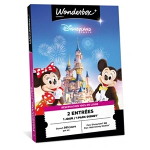 Coffret cadeau Connect Disneyland Paris 1 jour / 1 parc Disney® pas cher