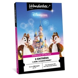 Comparateur de prix : Coffret cadeau Connect Disneyland Paris 1 jour / 2 parcs Disney®