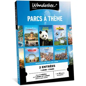 Coffret cadeau Connect Parcs à Thème pas cher