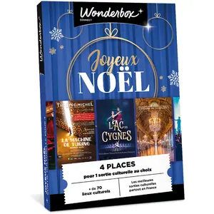 Coffret cadeau Wonderbox Joyeux Noël culturel pour 4 personnes pas cher
