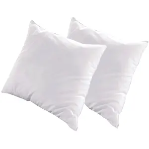 Comparateur de prix : Non communiqué Olympe - Lot de 2 oreillers natura - duvet & plumes - mi-fermes - 65 x 65 cm