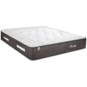 BELLECOUR Matelas Ressorts Privilège 200x200 cm Accueil Mousse hypersoft pas cher