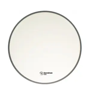 Sparedrum FO10CL - Peau Timbre CC 10 Foster Transparente - 1 pli - 3 mil