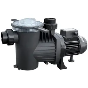 Pompe De Filtration Piscine Winner Pedrollo 100 M 230v - 0,75 Kw - 18 ... pas cher