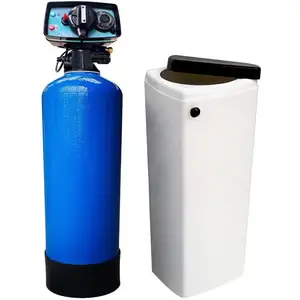 TOODO Pentair - Adoucisseur D'eau Bi Bloc 20l Fleck 5600 Volumétrique Mécanique pas cher