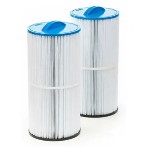 Gota Pure - Lot de 2 Cartouches piscine Filtrinov pour filtre GS14 / M...Vendu paramazon