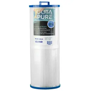 Gota Pure - Filtre spa O250 PWW50L / 40508 / SC757 / 4CH-949 / 42522Vendu paramazon