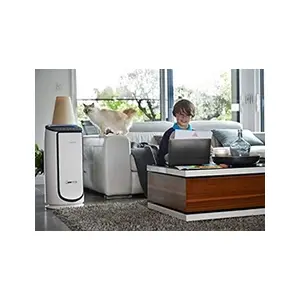 Comparateur de prix : Rowenta Purificateur d'Air Intense Pure Air Connect jusqu'à 140 m² blanc noir