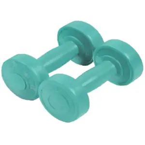 Paire d'haltère ciment Sporti 1 Kg Vert 1 Kg 044012 pas cher