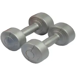 Paire d'haltère ciment Sporti 2 Kg Gris 2 Kg 044014 pas cher