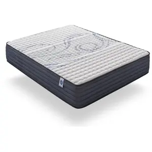 NATURALEX Matelas 160x190 cm - Épais 30 cm - Blue Latex, Mousse HR pas cher