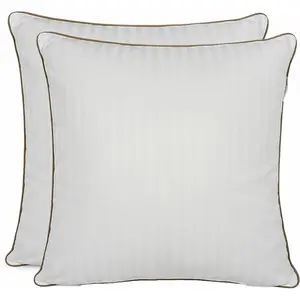 Comparateur de prix : Baton Rouge - Lot de 2 oreillers plume de canard blancs - 60x60 cm 60x...