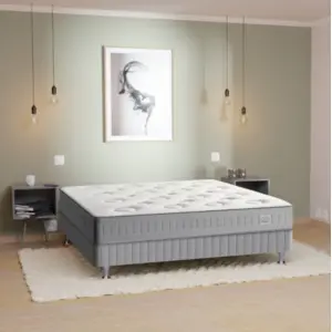 Comparateur de prix : Ensemble Simmons Climos - 600 ressorts ensachés 90x190 Gris