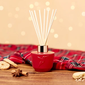 Délice de Noël Diffuseur 100 ml pas cher