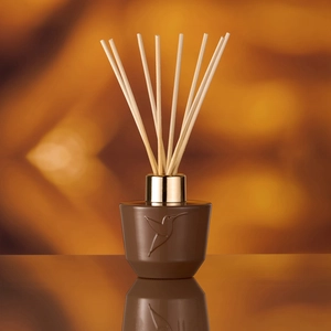 Adopt Parfums Nuit interdite Diffuseur 100 ml pas cher