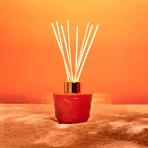 adopt Soleil Sacré Diffuseur 100ml pas cher