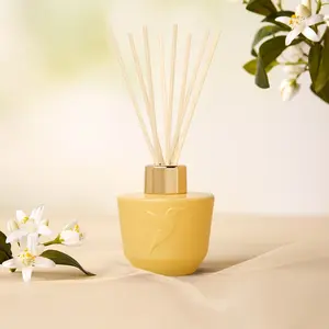adopt Fleur d'Oranger Royale Diffuseur 100 ml pas cher