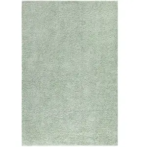 STUDIO DECO Tapis à poils longs SOFTY vert amande 230x320cm pas cher