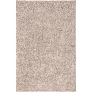 STUDIO DECO Tapis à poils longs SOFTY sable 60x110cm pas cher