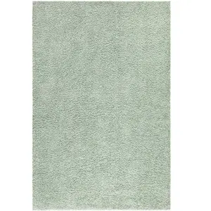 STUDIO DECO Tapis à poils longs SOFTY vert amande 100x200cm pas cher