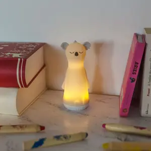 Pylones Veilleuse et lampe torche pas cher