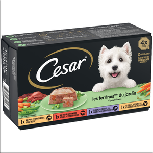 Cesar Classics Sélection en terrine pour chien - terrines du jardin (4... pas cher