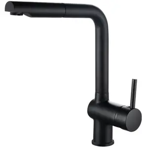 Comparateur de prix : ROUSSEAU Robinet mitigeur de cuisine Matsouko - Avec douchette - Noir