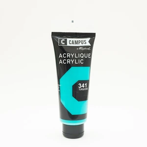Comparateur de prix : Raphael Peinture acrylique 100 ml - Bleu turquoise n°341