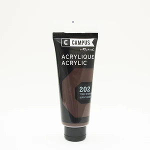 Comparateur de prix : Raphaël Peinture acrylique étude Campus 100ml - terre d'ombre brûlée 202