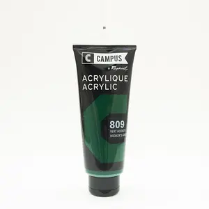Comparateur de prix : Raphaël Peinture acrylique étude Campus 100ml - vert hooker 809