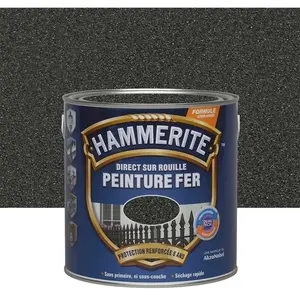 Julien - Peinture Direct Sur Rouille Forgée Noir 2,5 l - Hammerite pas cher