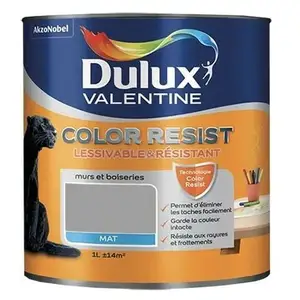 Comparateur de prix : Dulux Valentine Peinture acrylique Color Resist Aluminium Mat 1 L