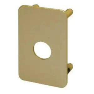 Contre plaque de sécurité pour V136 - Vachette pas cher