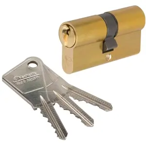 Comparateur de prix : Cylindre 2 entrées V5 varié Laiton 40x40 mm Vachette