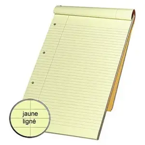 Bloc agrafé Rhodia N°119 Ligné 80 Feuilles 21 x 31,8 cm Orange pas cher
