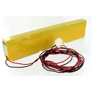EXALIUM PREMIUM Batterie 36V pour porte automatique kone waldoor unidrive pas cher