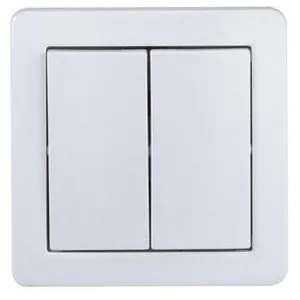 Plaque blanche 2 postes Entraxe 71mm - 61897