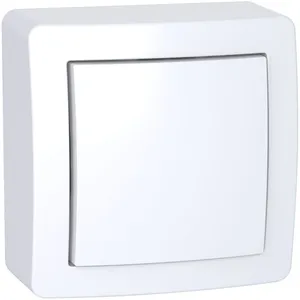 Schneider Electric - Obturateur avec cadre en saillie alrea - Blanc pas cher