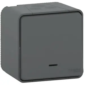 Schneider Electric MUR35024 Va et Vient mureva lumineux, 250 V, Gris
