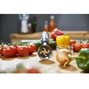 Comparateur de prix : Moulinex Mixeur plongeant DD6A5110 Noir 1000 W TU