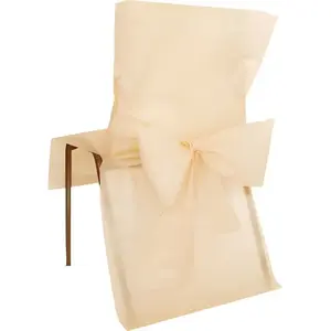 SANTEX 10 Housses de Chaise en Tissu Non Tissé Ivoire