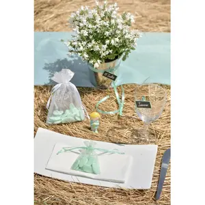SANTEX Sachet Organdi uni vert pas cher