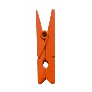 RueDeLaFete Sachet de 24 MINI-Pinces en bois, Orange pas cher