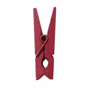 RueDeLaFete Sachet de 24 MINI-Pinces en bois, Bordeaux pas cher