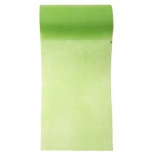 RueDeLaFete Ruban Large Uni Vert Amande 10cm pas cher
