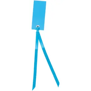 SANTEX Marque Place Avec Ruban Satin Turquoise pas cher