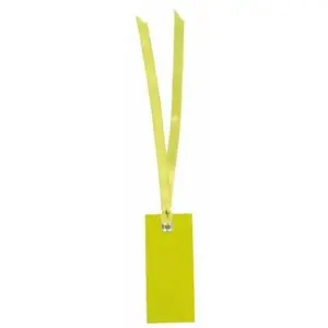 SANTEX Marque Place Avec Ruban Satin Vert pas cher