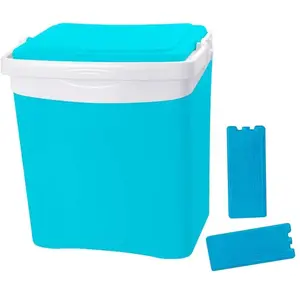Electrodepot Glacière 25l + 2 Pains De Glace 350g pas cher