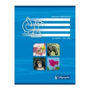 CONQUERANT Cahier travaux pratiques piqures Clairefontaine 17x22 ( grand carreaux 70g + dessin) 48p pas cher